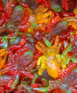 Not Specified Giant Spider Approx 5 Gummies