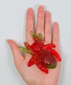 Not Specified Giant Spider Approx 5 Gummies