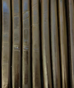 LollyShop Licorice Roll Black 5's