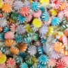 Not Specified Pinwheel Mint Rainbow 300g