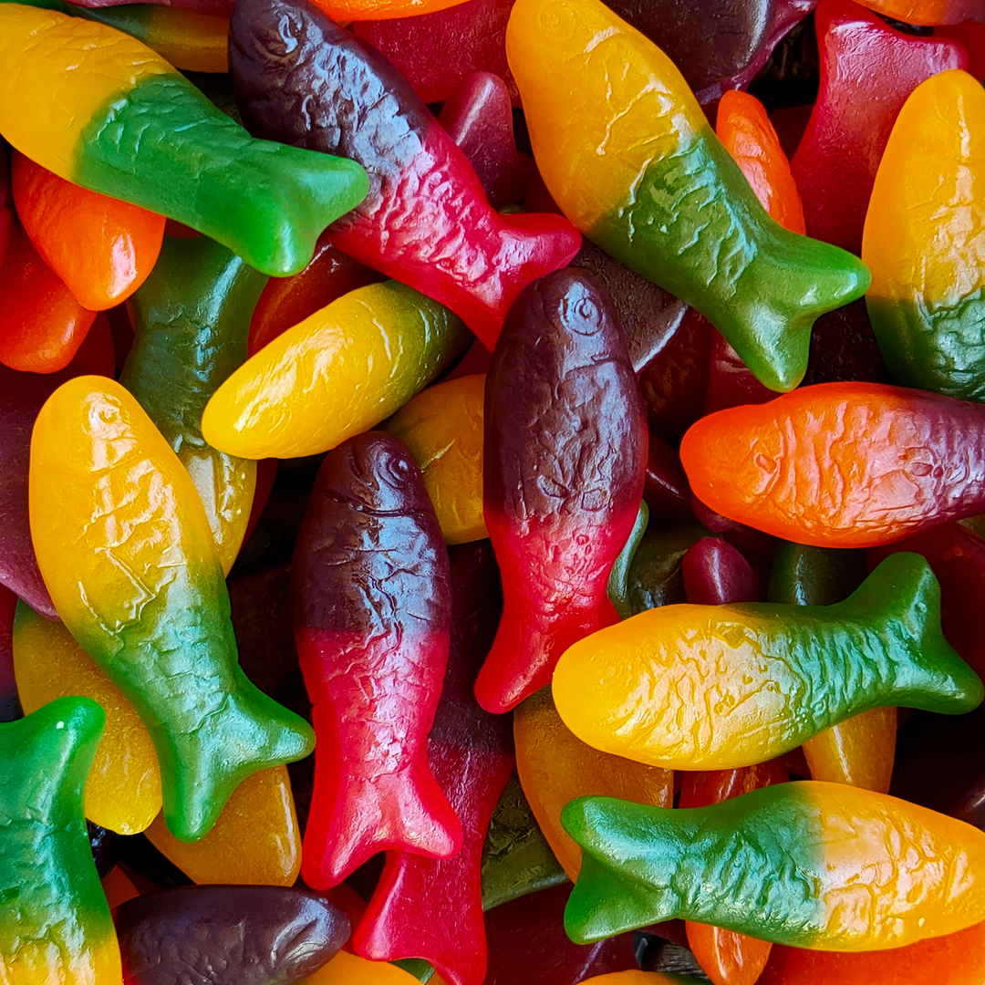 LollyShop Rainbow Fish 3 LollyShop Rainbow Fish