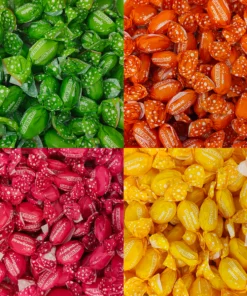 LollyShop Sherbet Shots Wrapped